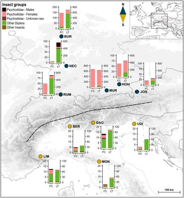 Local Insect Availability Partly Explains Geographical Differences in Floral Visitor Assemblages of Arum maculatum L. (Araceae)